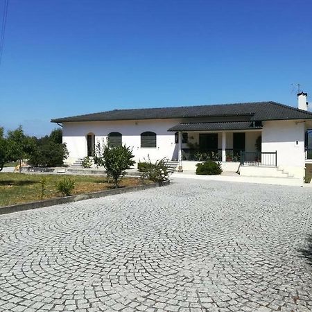 Casa Dos Lacos Viseu Luaran gambar