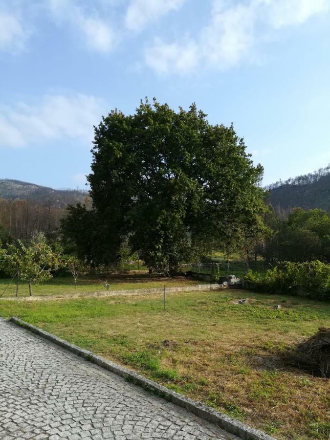 Casa Dos Lacos Viseu Luaran gambar